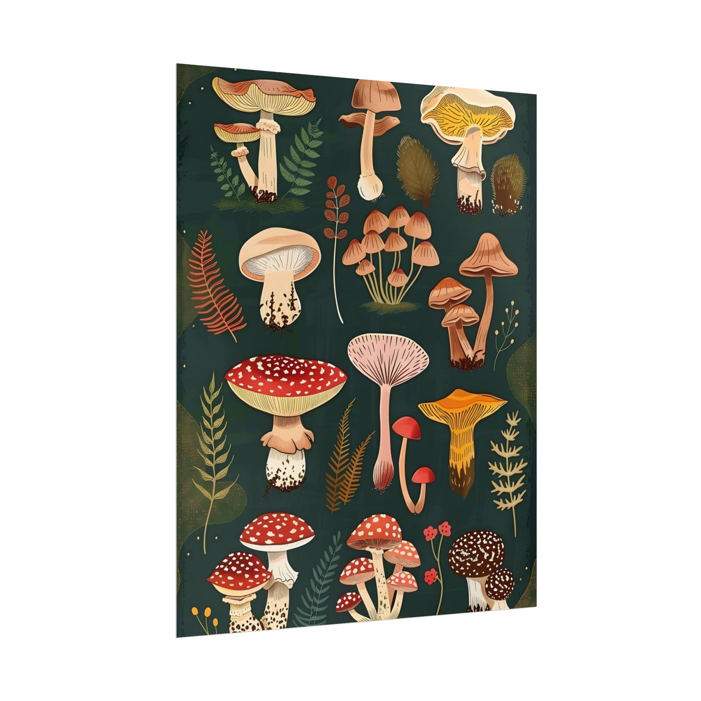 Vibrant Mushroom Poster: 2024 Batch - Poster