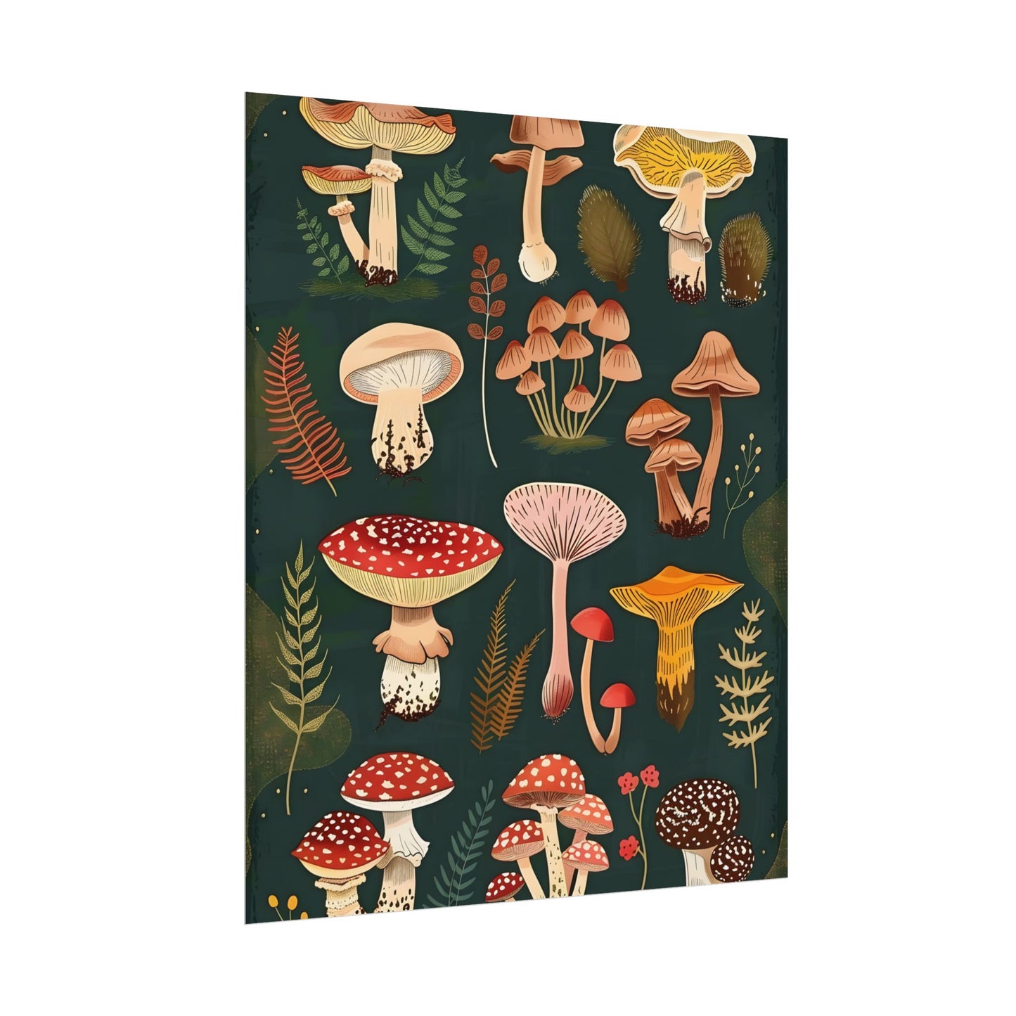 Vibrant Mushroom Poster: 2024 Batch - Poster
