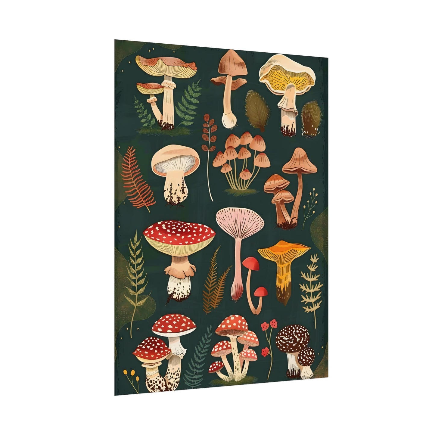 Vibrant Mushroom Poster: 2024 Batch - Poster