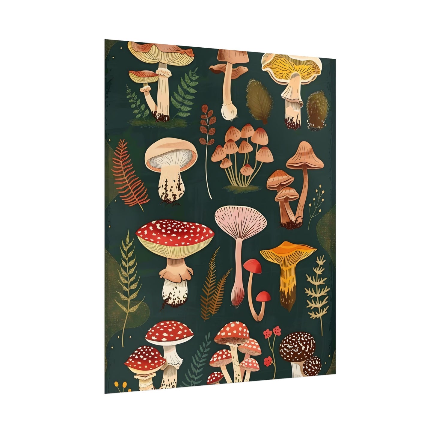 Vibrant Mushroom Poster: 2024 Batch - Poster