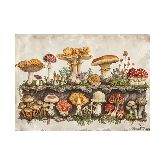 Vintage Mushroom Illustration: Detailed Artwork - Poster