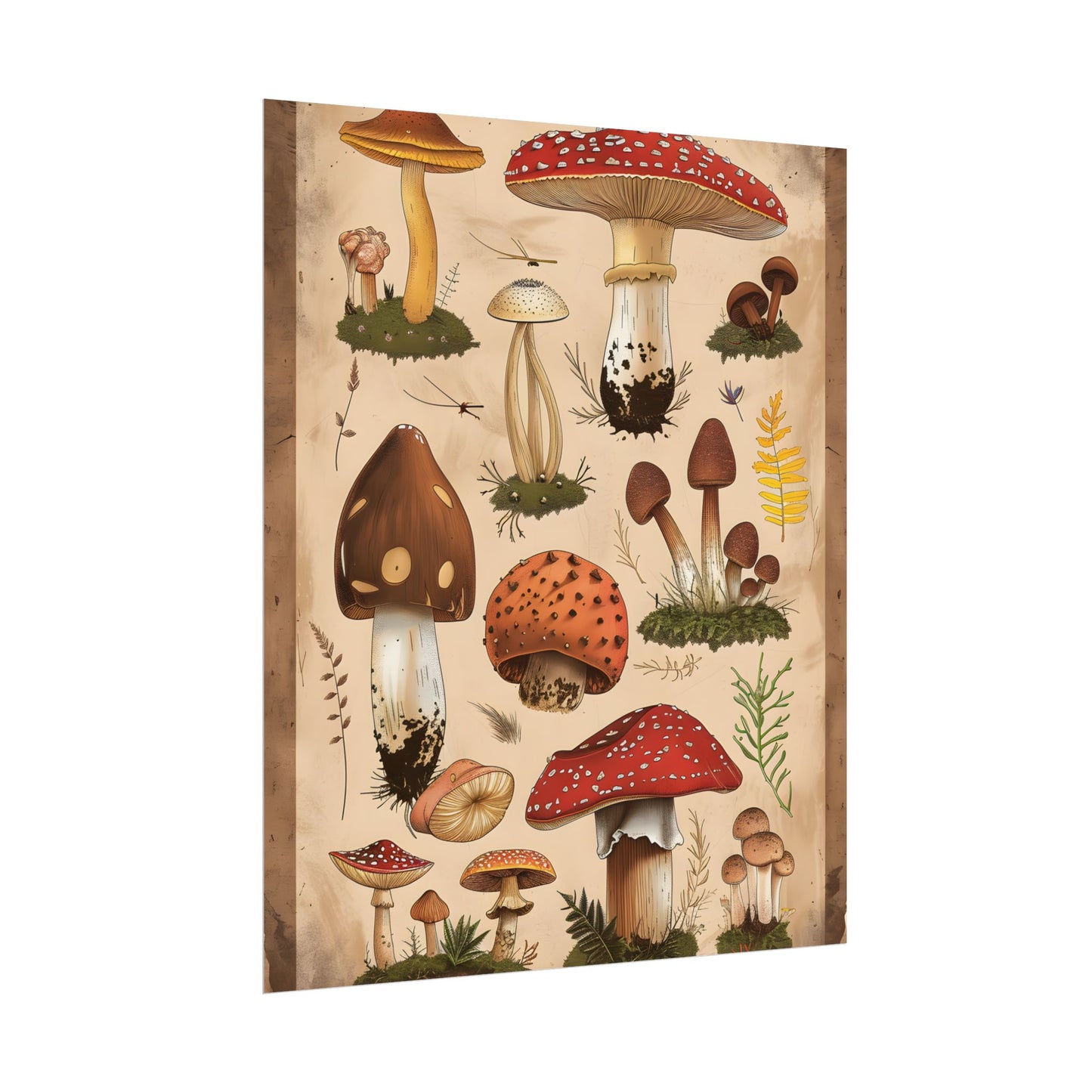 Vibrant Mushroom Species Poster: A Colorful Collection - Poster