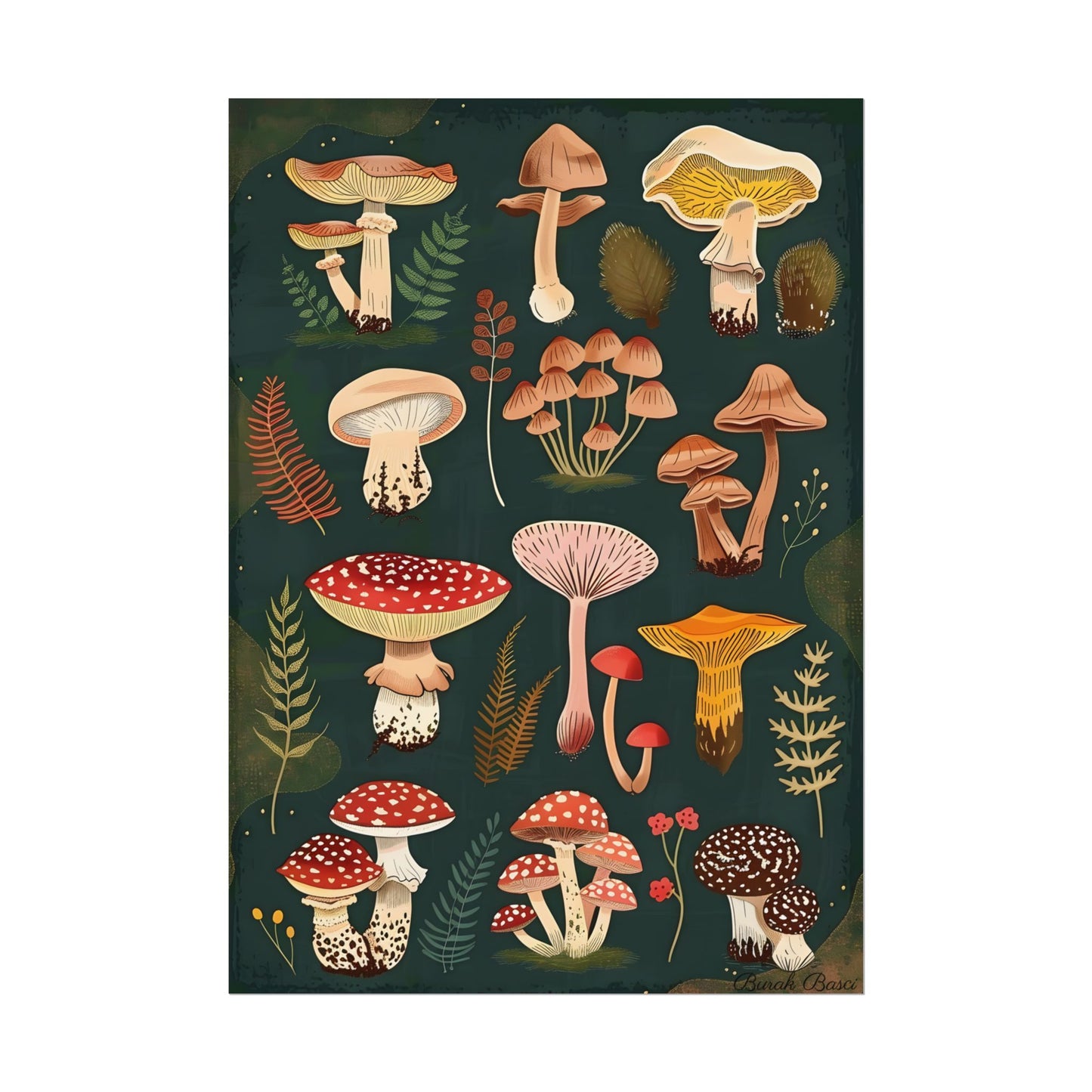 Vibrant Mushroom Poster: 2024 Batch - Poster