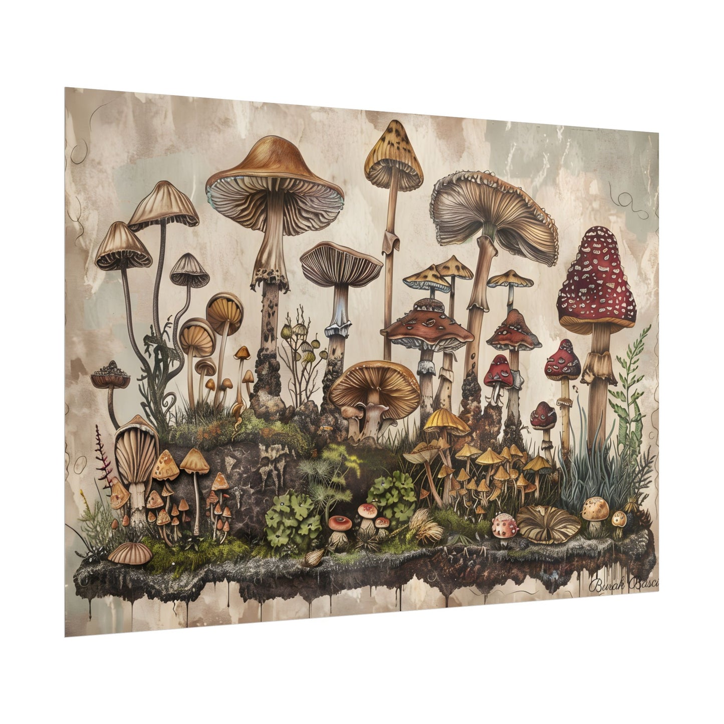 Vintage Mushroom Illustrations: A Collection of Unique Fungi - Poster