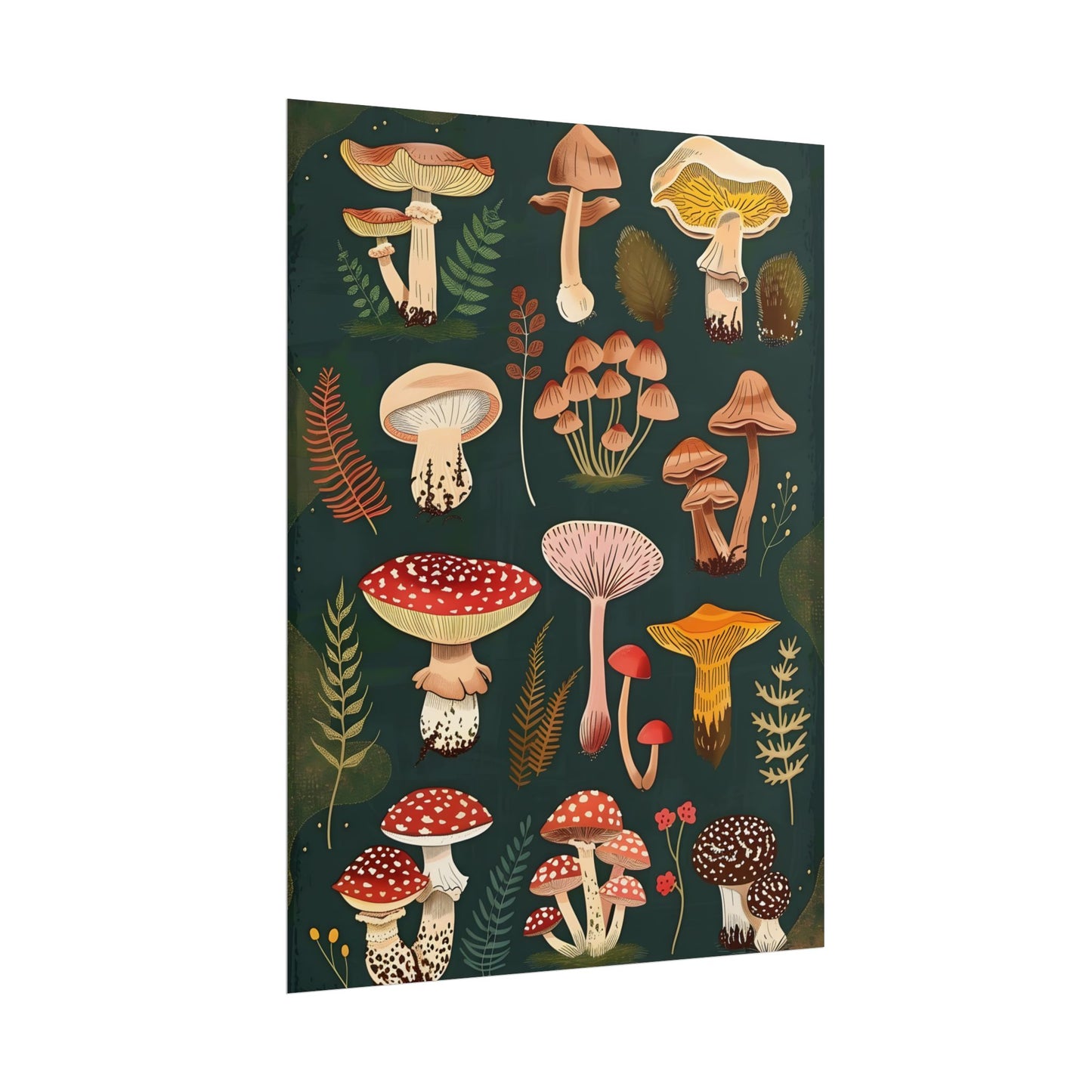 Vibrant Mushroom Poster: 2024 Batch - Poster