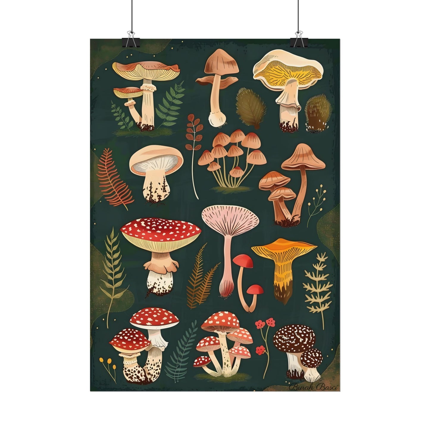 Vibrant Mushroom Poster: 2024 Batch - Poster