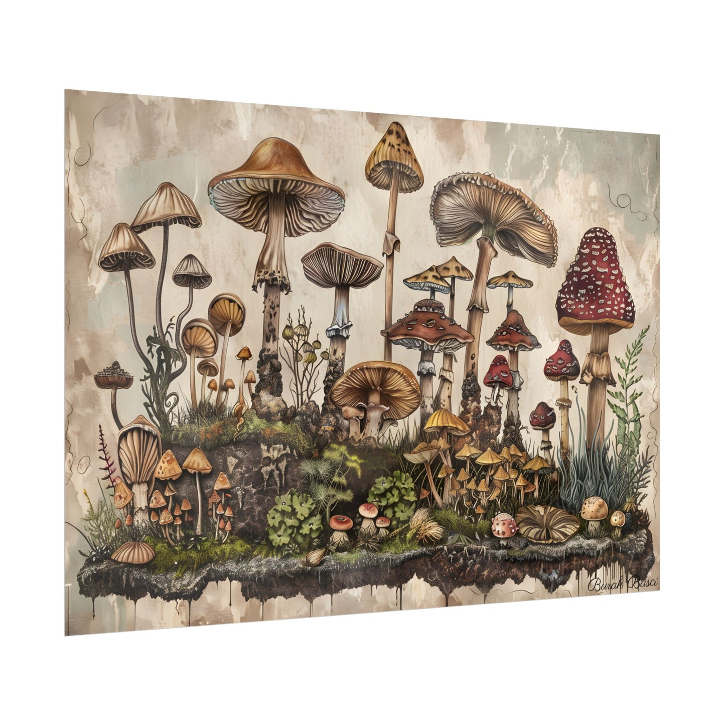 Vintage Mushroom Illustrations: A Collection of Unique Fungi - Poster