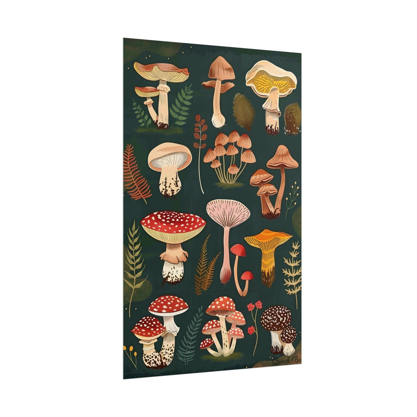 Vibrant Mushroom Poster: 2024 Batch - Poster