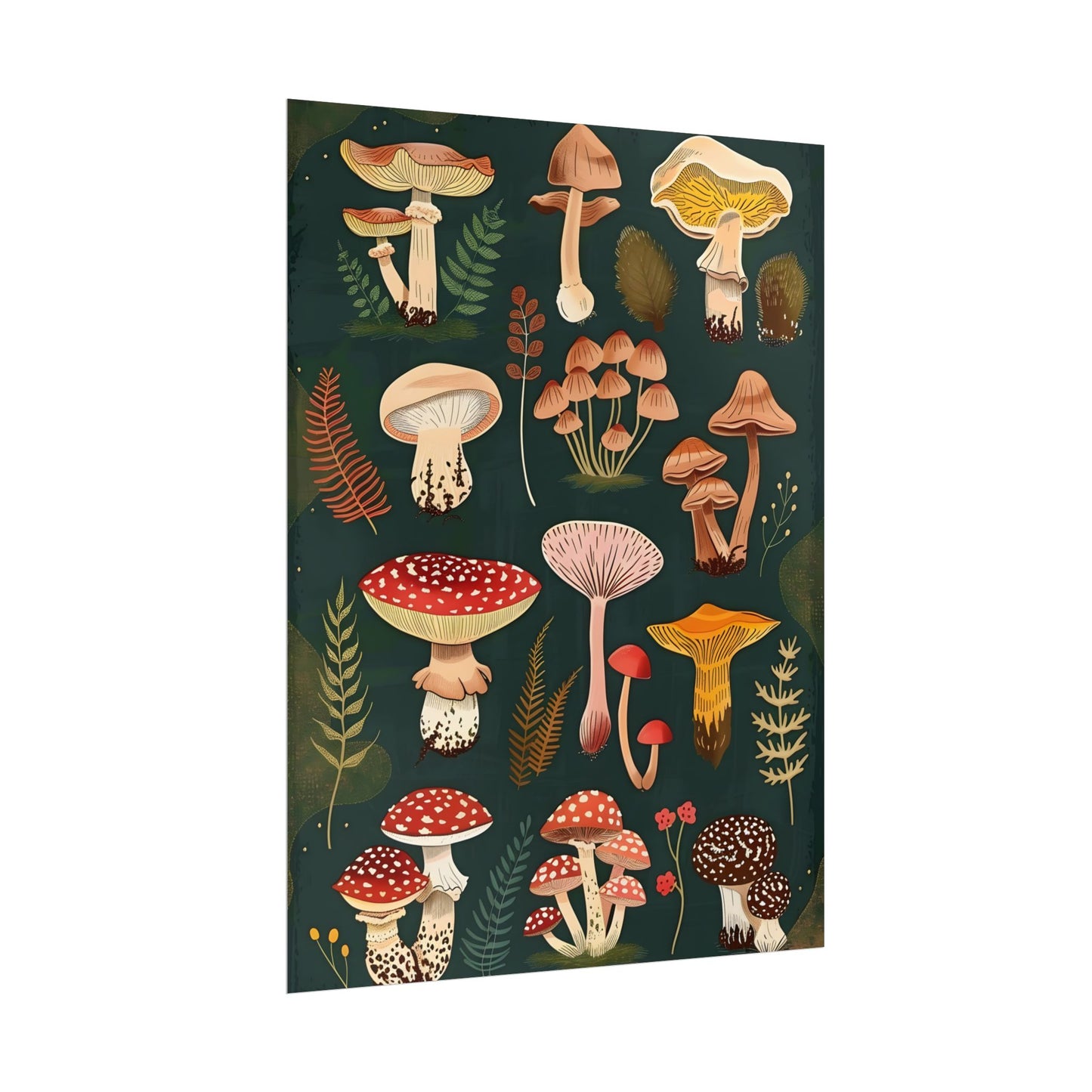 Vibrant Mushroom Poster: 2024 Batch - Poster