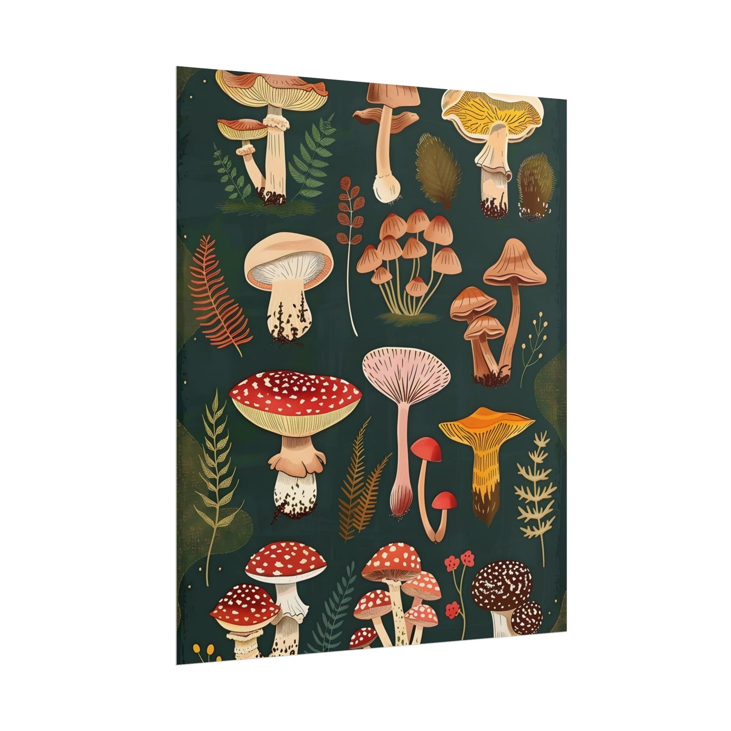 Vibrant Mushroom Poster: 2024 Batch - Poster