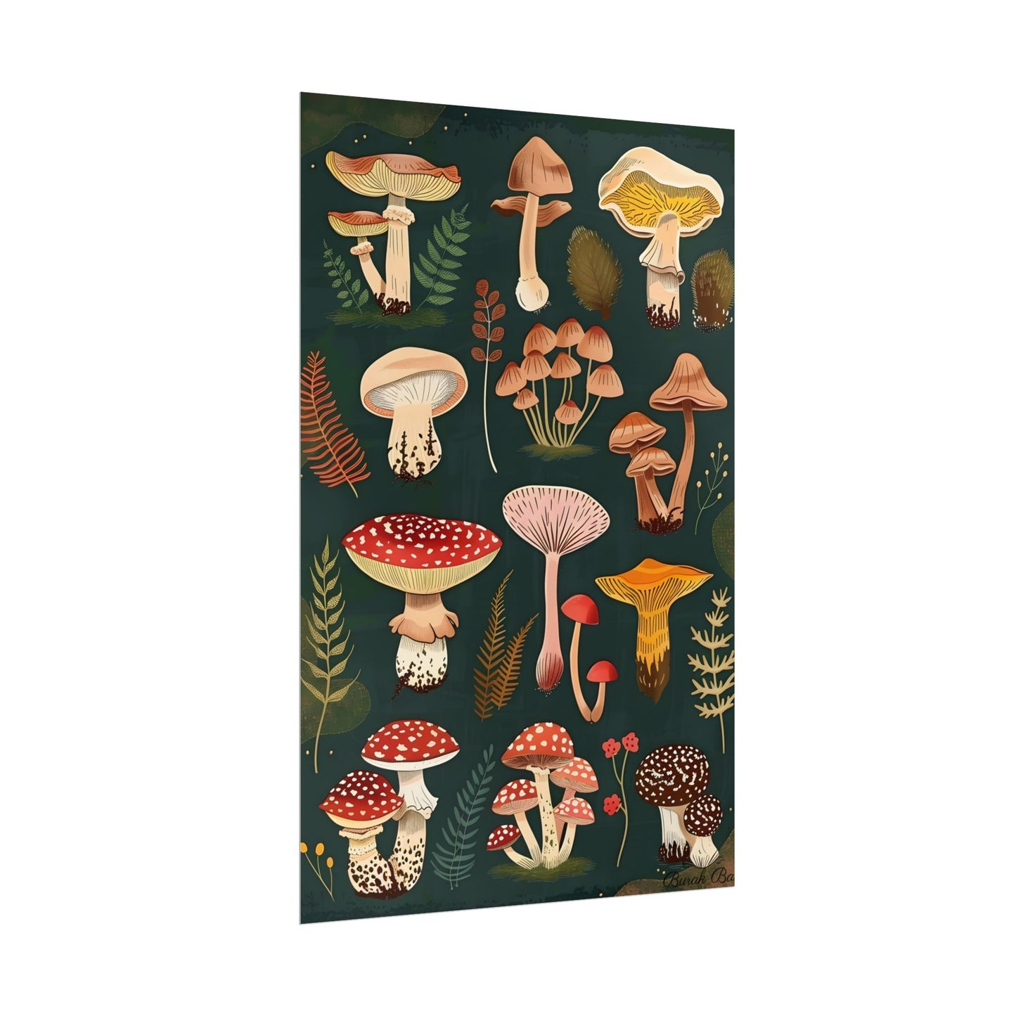 Vibrant Mushroom Poster: 2024 Batch - Poster