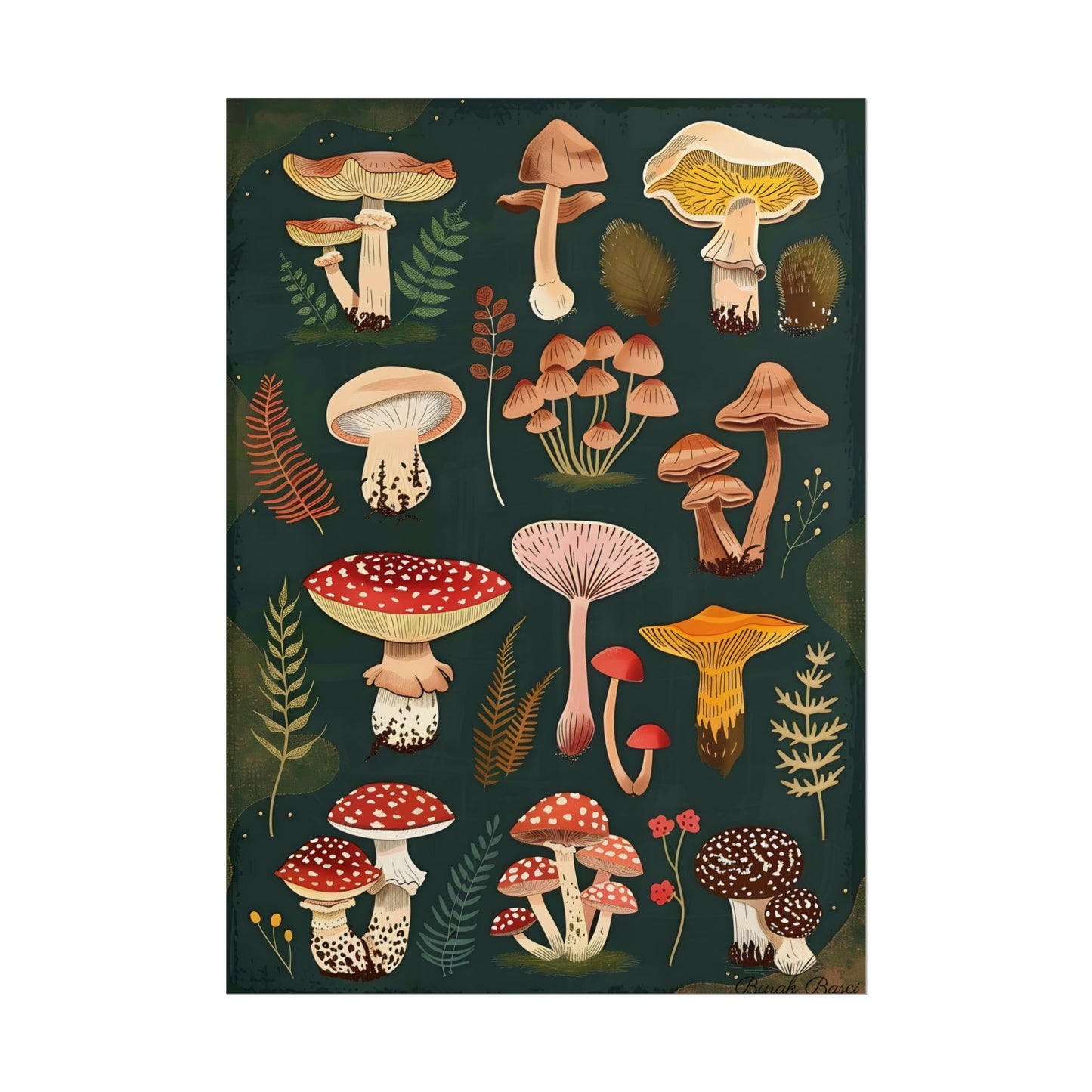 Vibrant Mushroom Poster: 2024 Batch - Poster