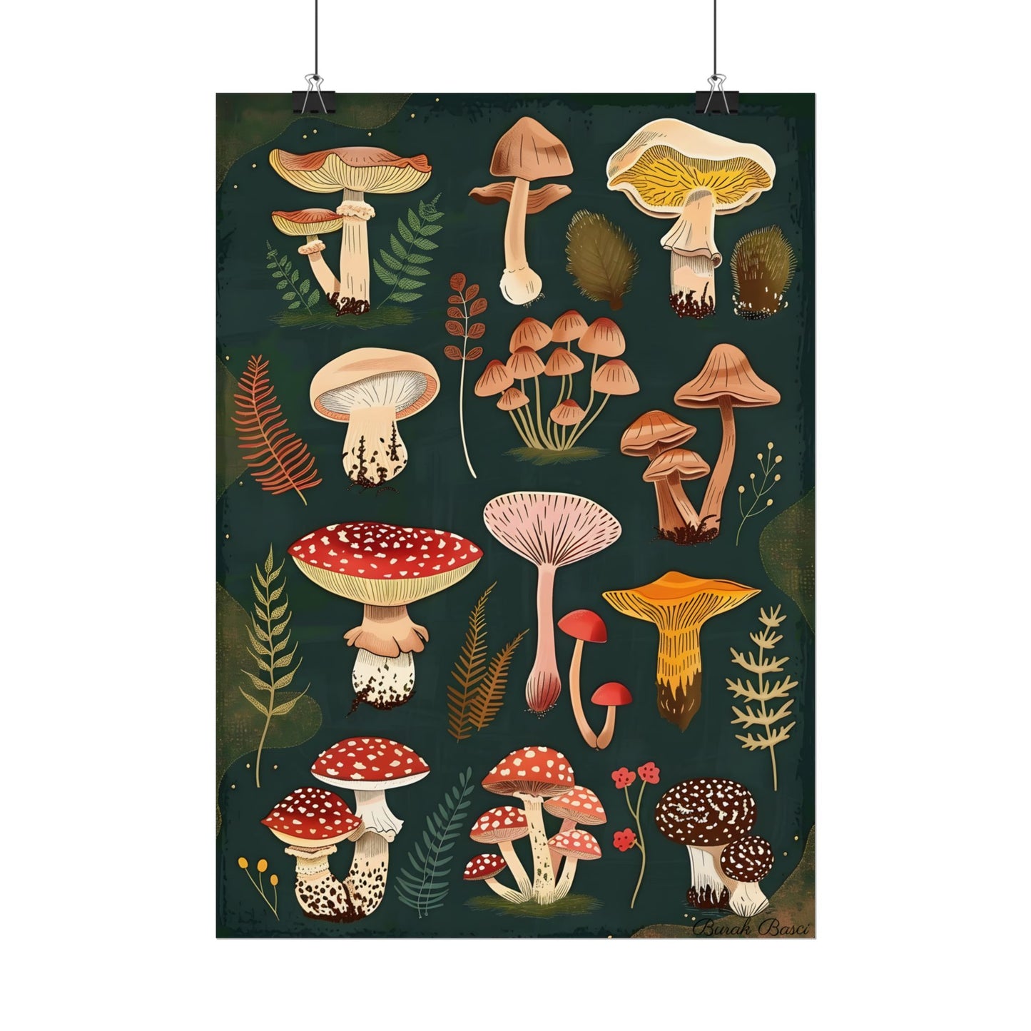 Vibrant Mushroom Poster: 2024 Batch - Poster