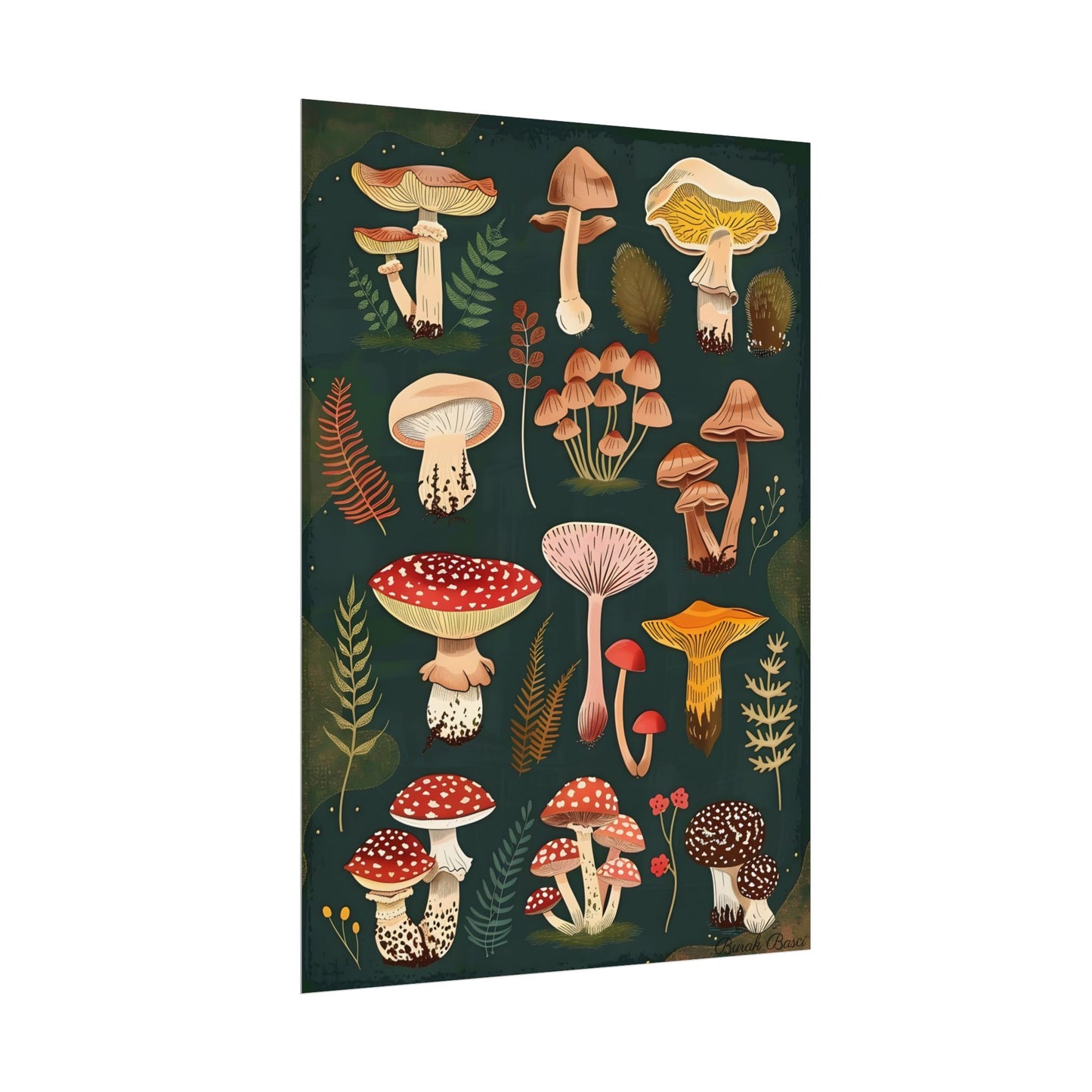 Vibrant Mushroom Poster: 2024 Batch - Poster