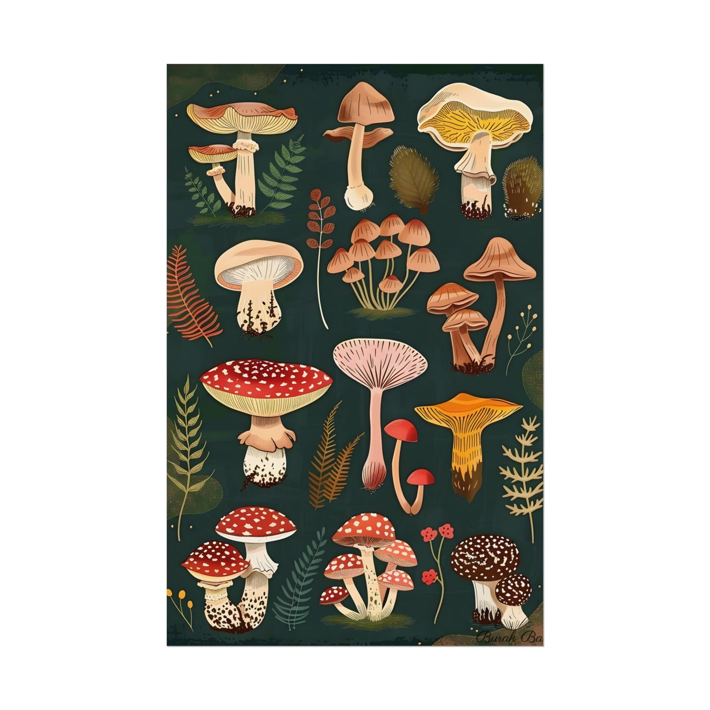 Vibrant Mushroom Poster: 2024 Batch - Poster