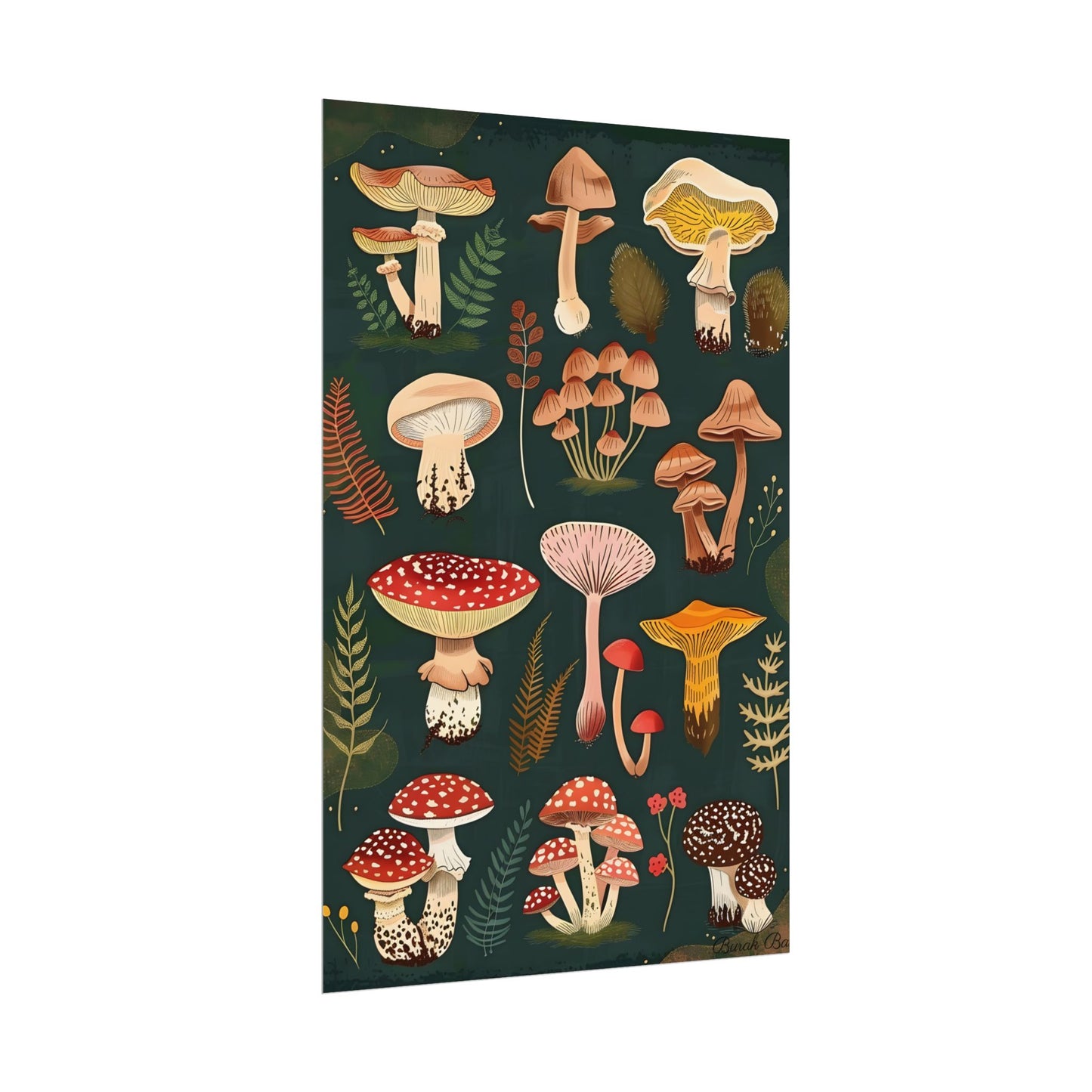 Vibrant Mushroom Poster: 2024 Batch - Poster