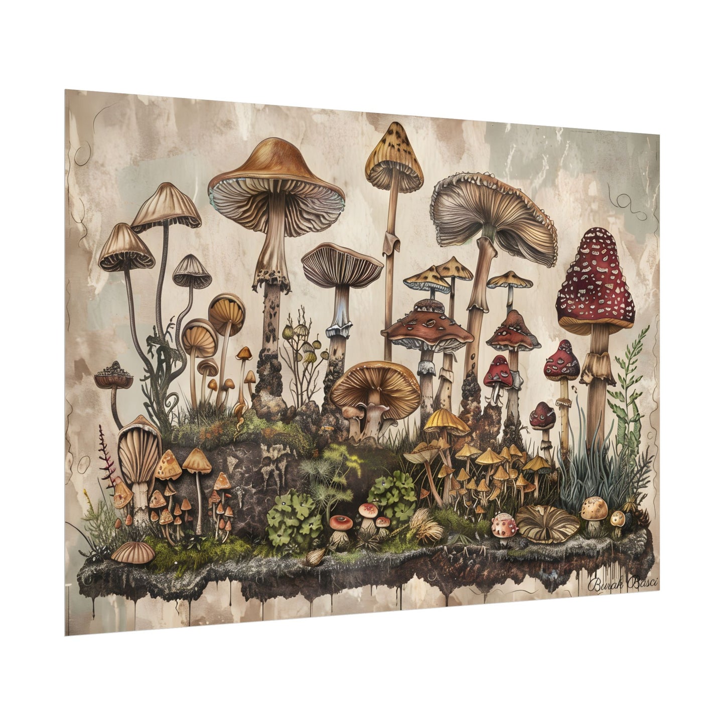 Vintage Mushroom Illustrations: A Collection of Unique Fungi - Poster