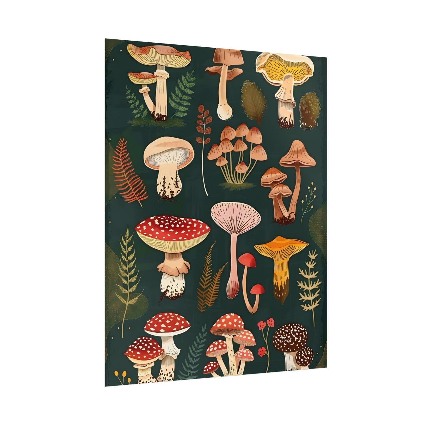 Vibrant Mushroom Poster: 2024 Batch - Poster