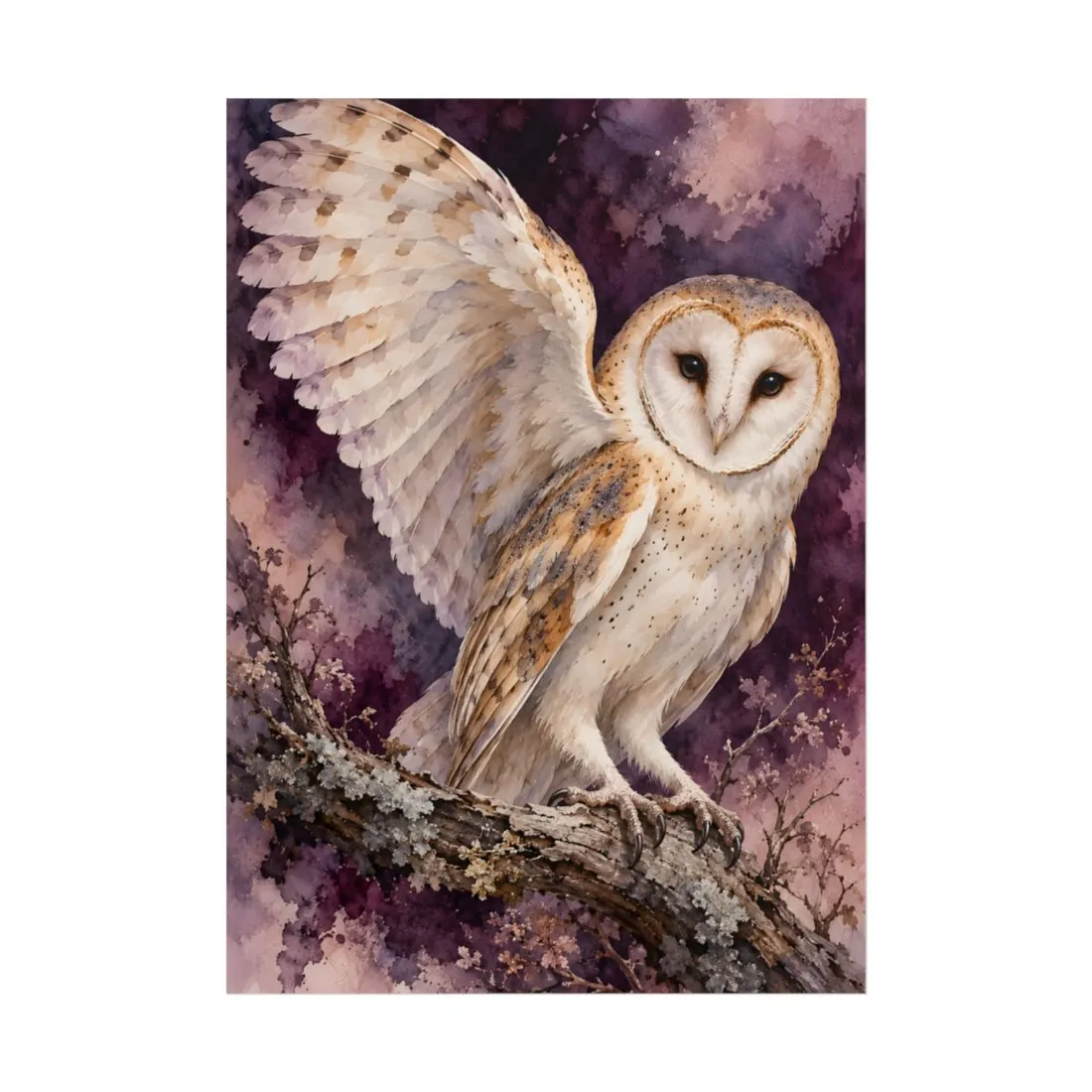 Barn owl spreading one wing on a mossy branch, plum and pink washes – Poster, view 1