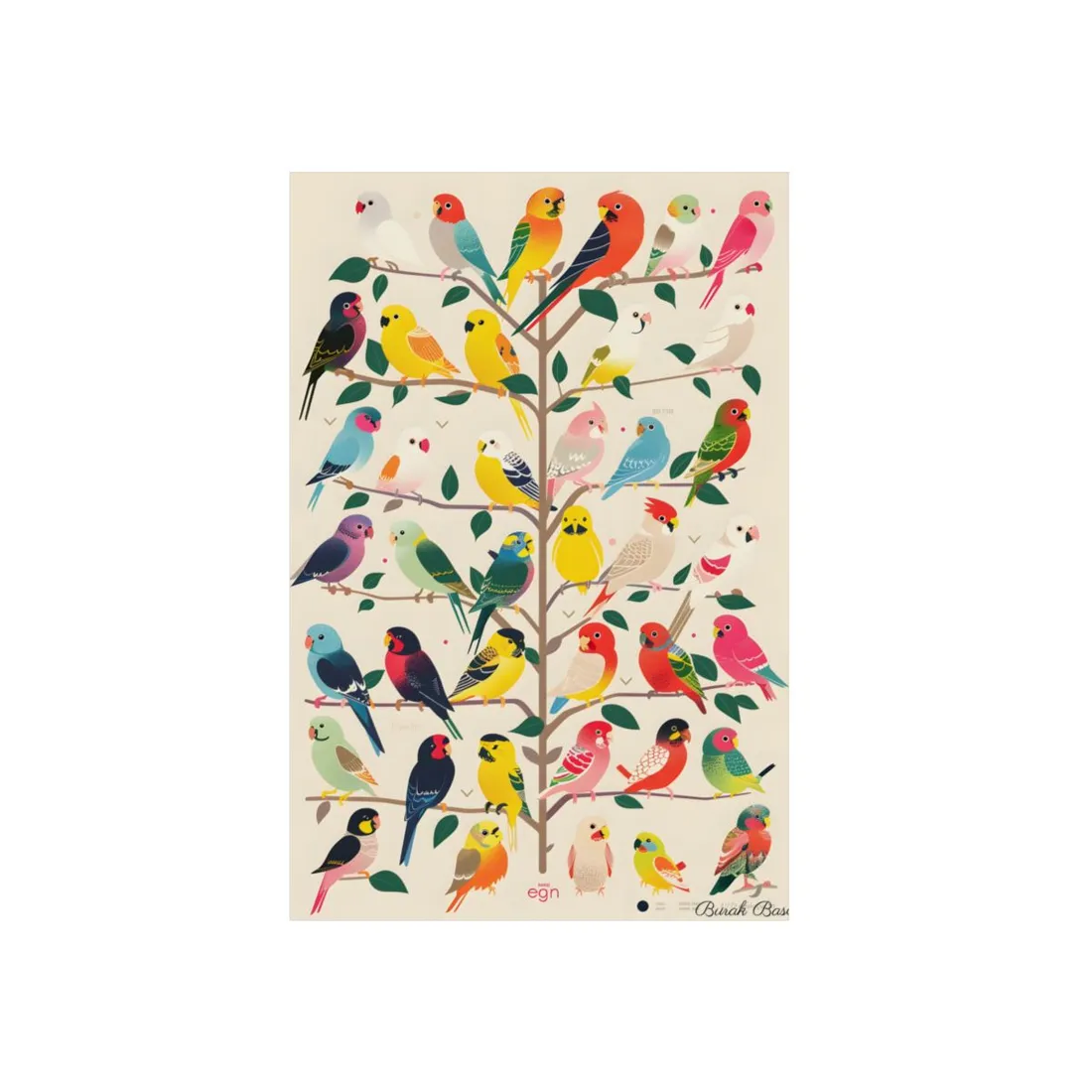 Colorful Birds on Tree Branch: Nature - Metal Poster