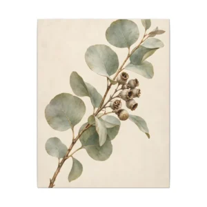 Eucalyptus Branch with Seed Pods Canvas Print