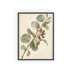 Eucalyptus Branch with Seed Pods Framed Poster