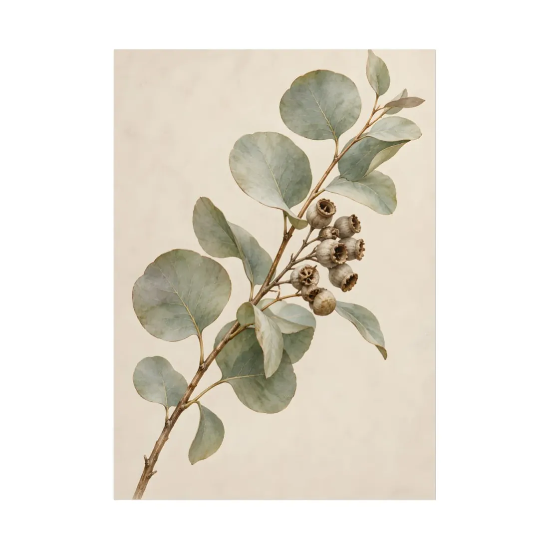 Watercolor-style botanical study of a branch with sage-green leaves and dried brown seed capsules on cream p – Poster, view 1