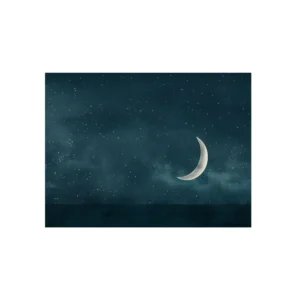 Crescent Moon in Night Sky Metal Poster