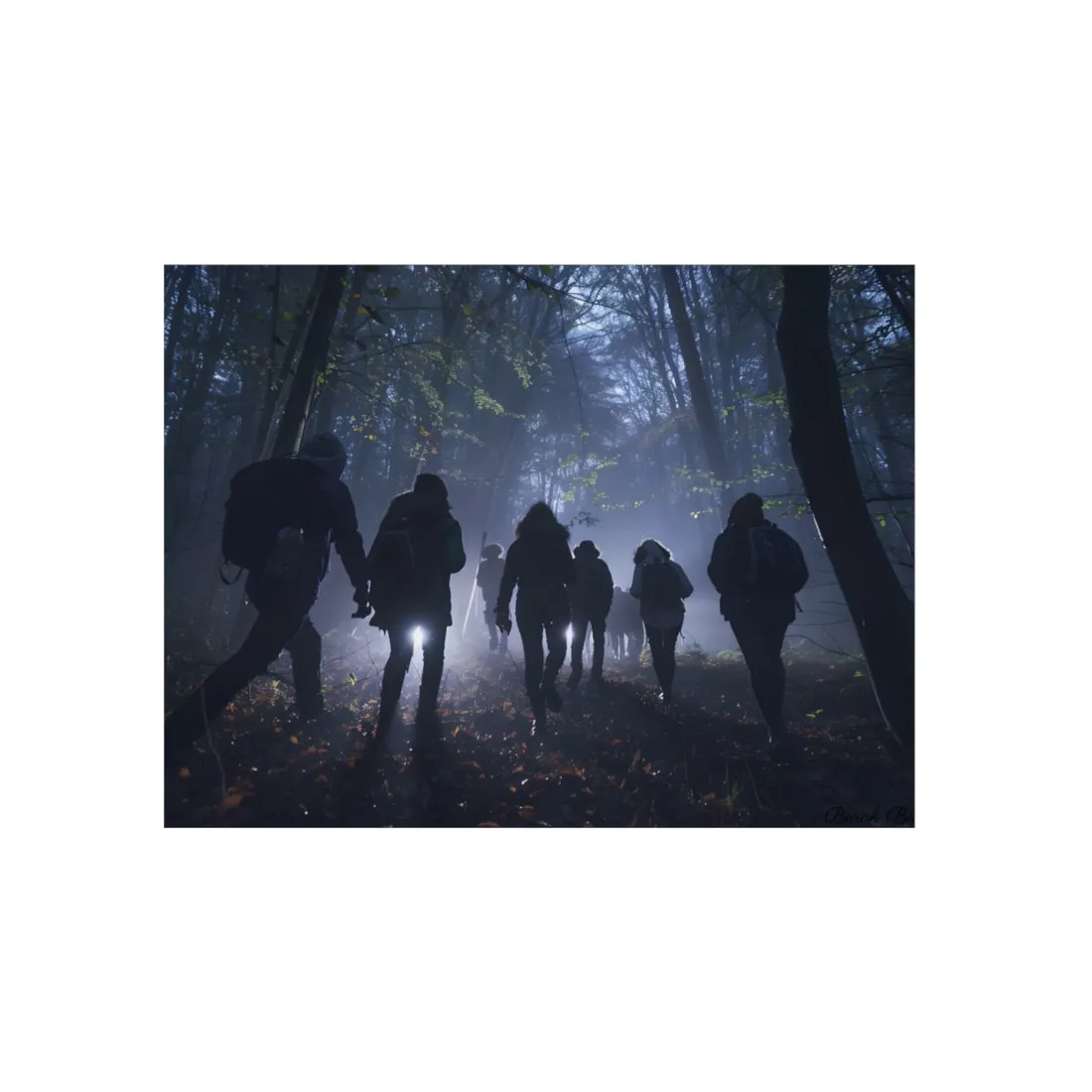 Mysterious Forest Adventure: Exploring with Courage - Metal Poster