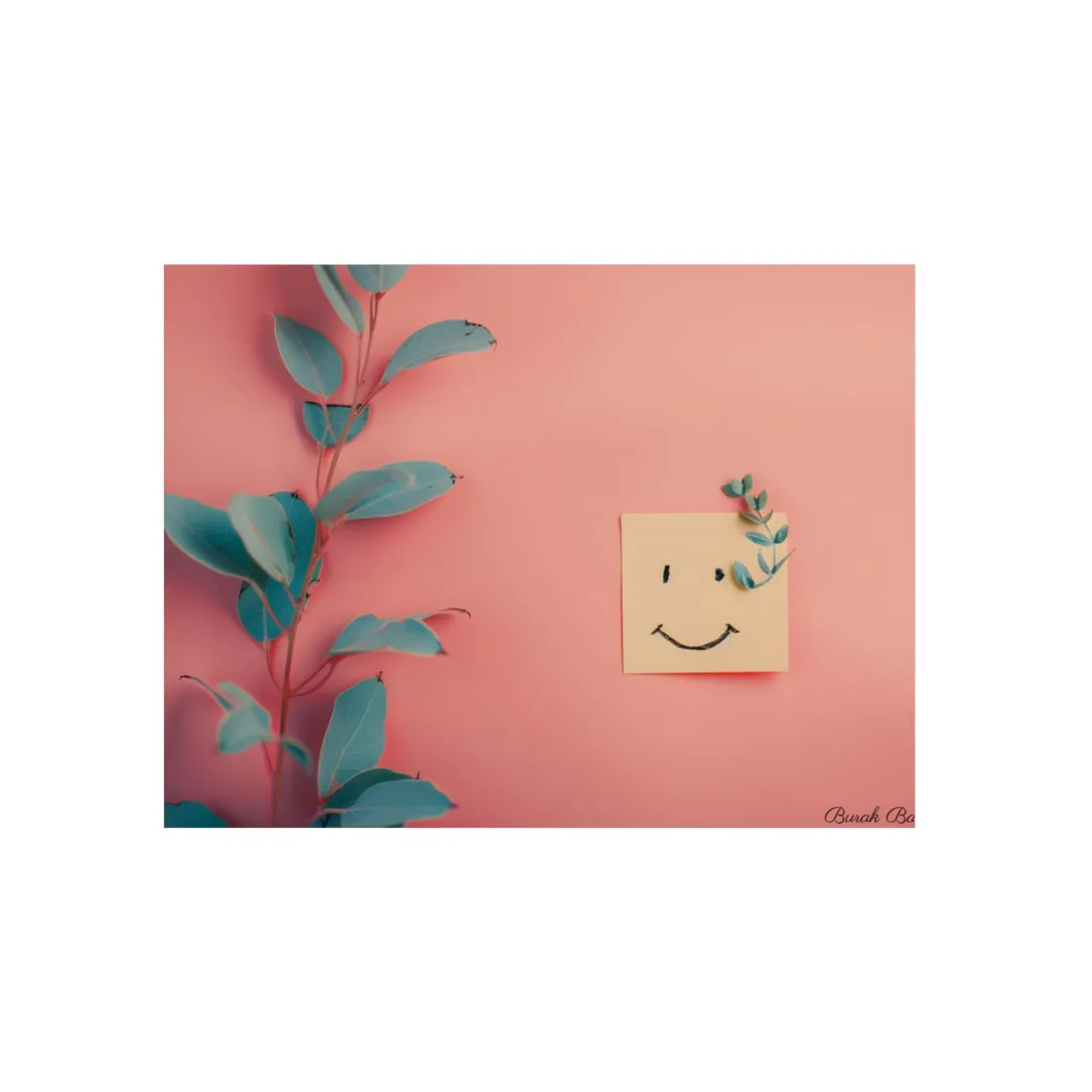 Pink Backdrop Still Life: Leaf and Smiley Note - Metal Poster