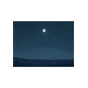 Night Sky with Moon Metal Poster