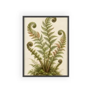 Fern Fronds with Curled Tips Framed Poster
