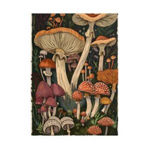 Assorted Mushrooms Illustration Poster