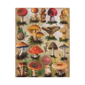 Assorted Spotted Mushrooms Canvas Print