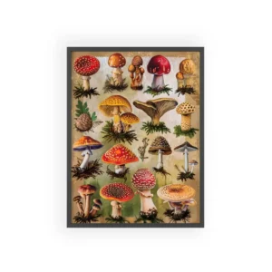 Assorted Spotted Mushrooms Framed Poster