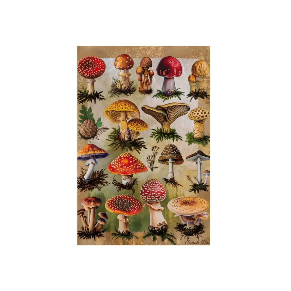 Vibrant Mushroom Poster: Colorful Fungi - Metal Poster