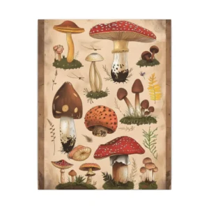 Vintage Mushroom Species Chart Canvas Print