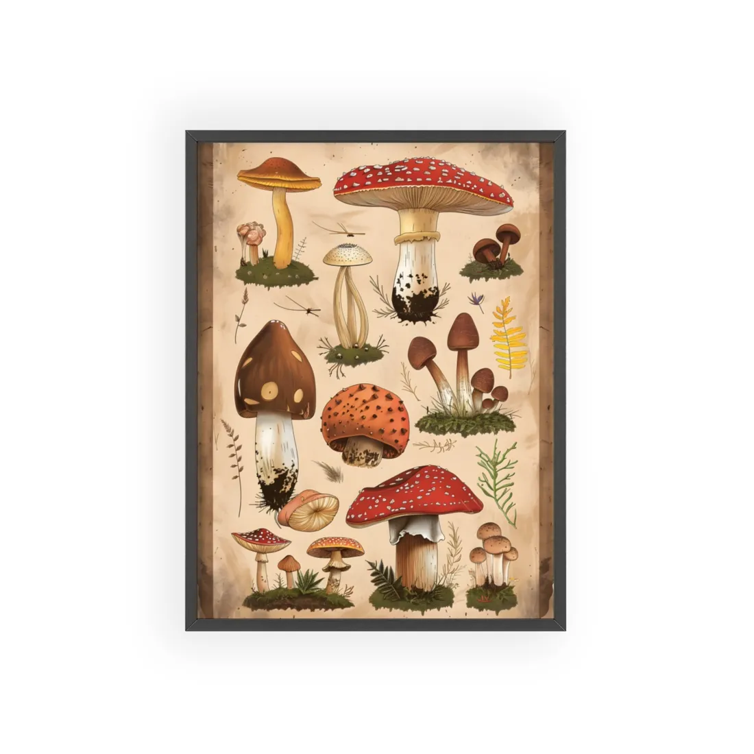 Vibrant Mushroom Species Poster: A Colorful Collection - Framed Poster