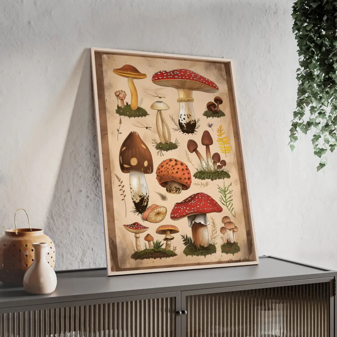 Vibrant Mushroom Species Poster: A Colorful Collection - Framed Poster