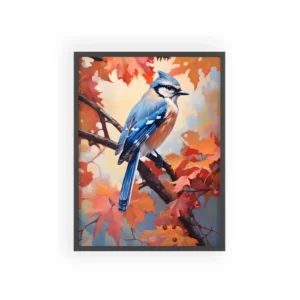 Blue Jay on Maple Branch Framed Poster