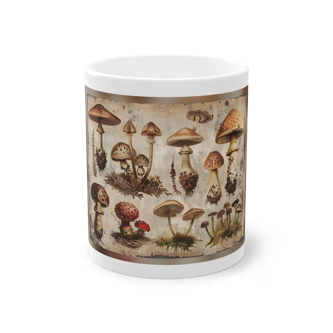 Vintage Mushroom Illustration: Earthy - Mug
