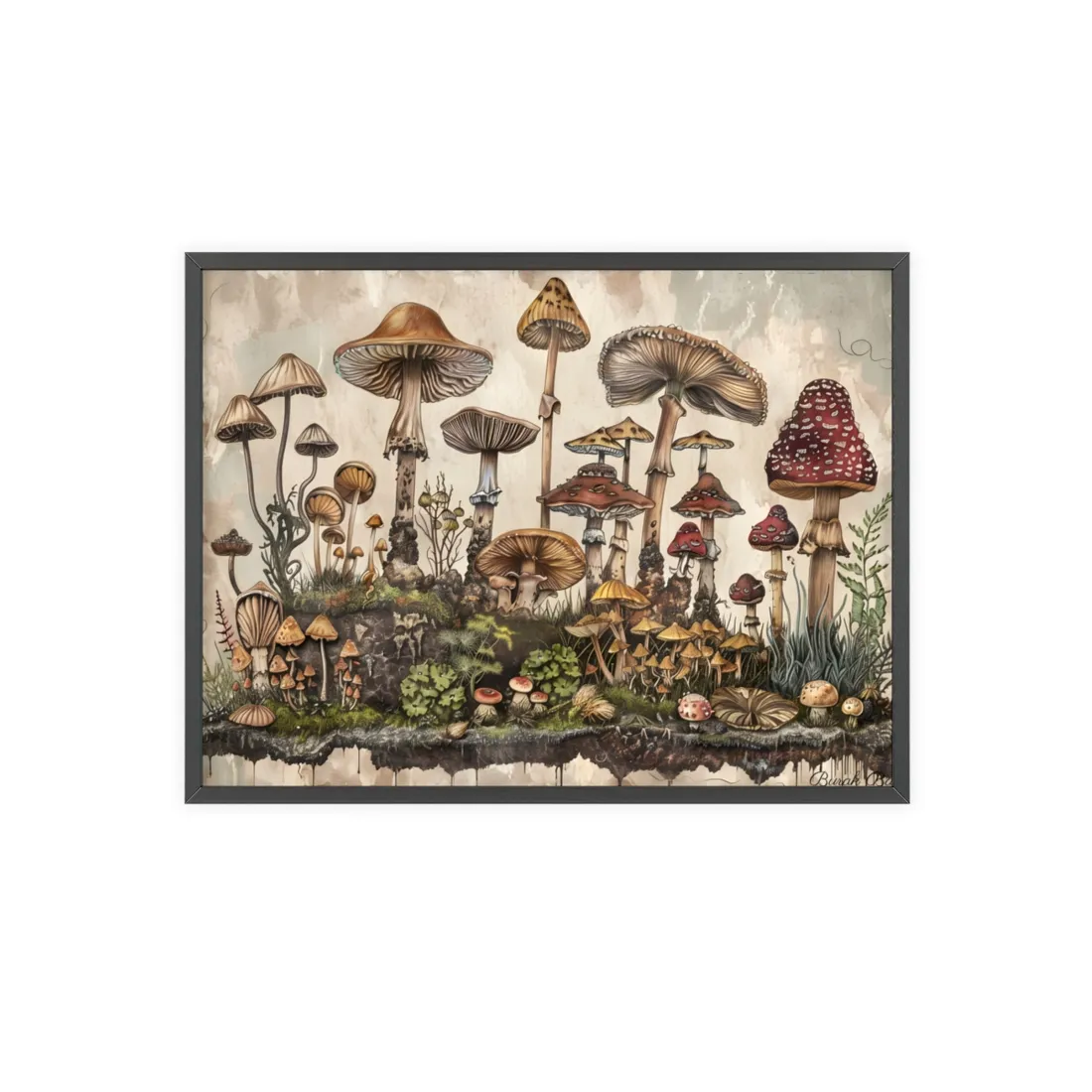 Vintage Mushroom Illustrations: A Collection of Unique Fungi - Framed Poster
